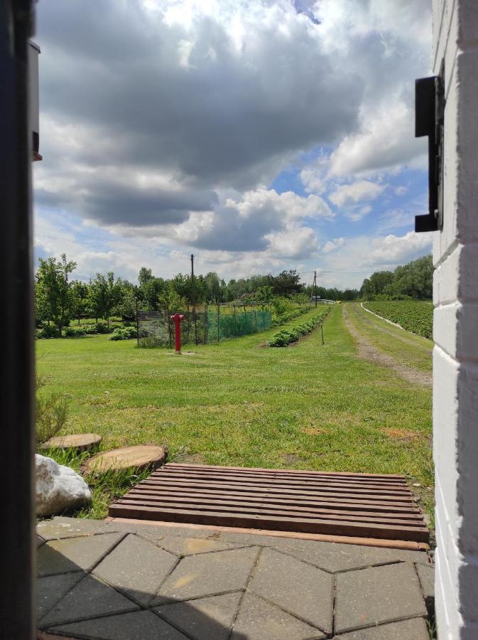 Agroturystyka Kobylnica Nad Wisla Екстер'єр фото