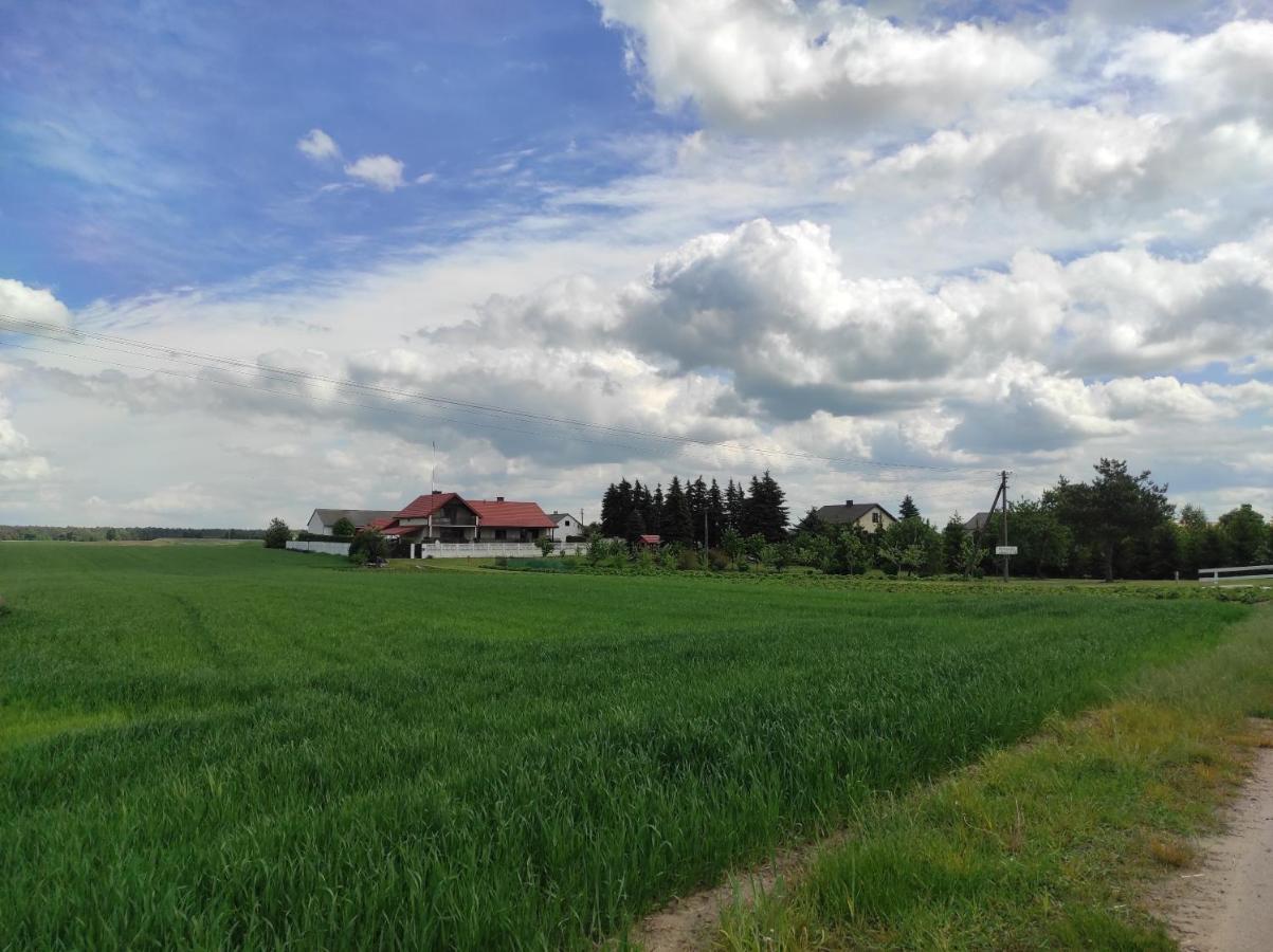 Agroturystyka Kobylnica Nad Wisla Екстер'єр фото