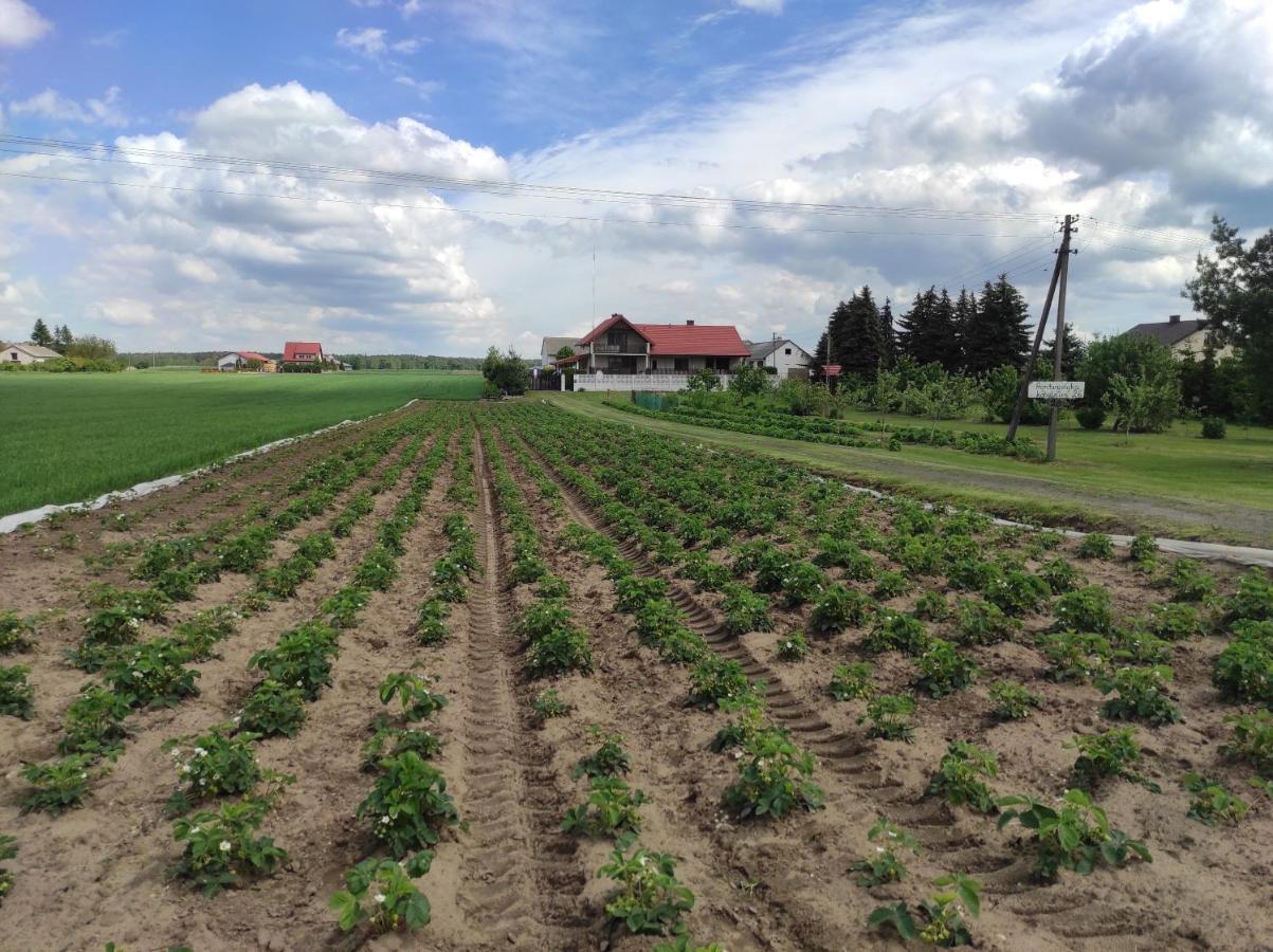 Agroturystyka Kobylnica Nad Wisla Екстер'єр фото