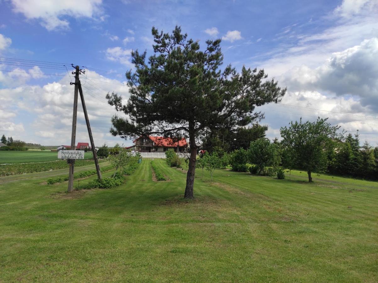 Agroturystyka Kobylnica Nad Wisla Екстер'єр фото
